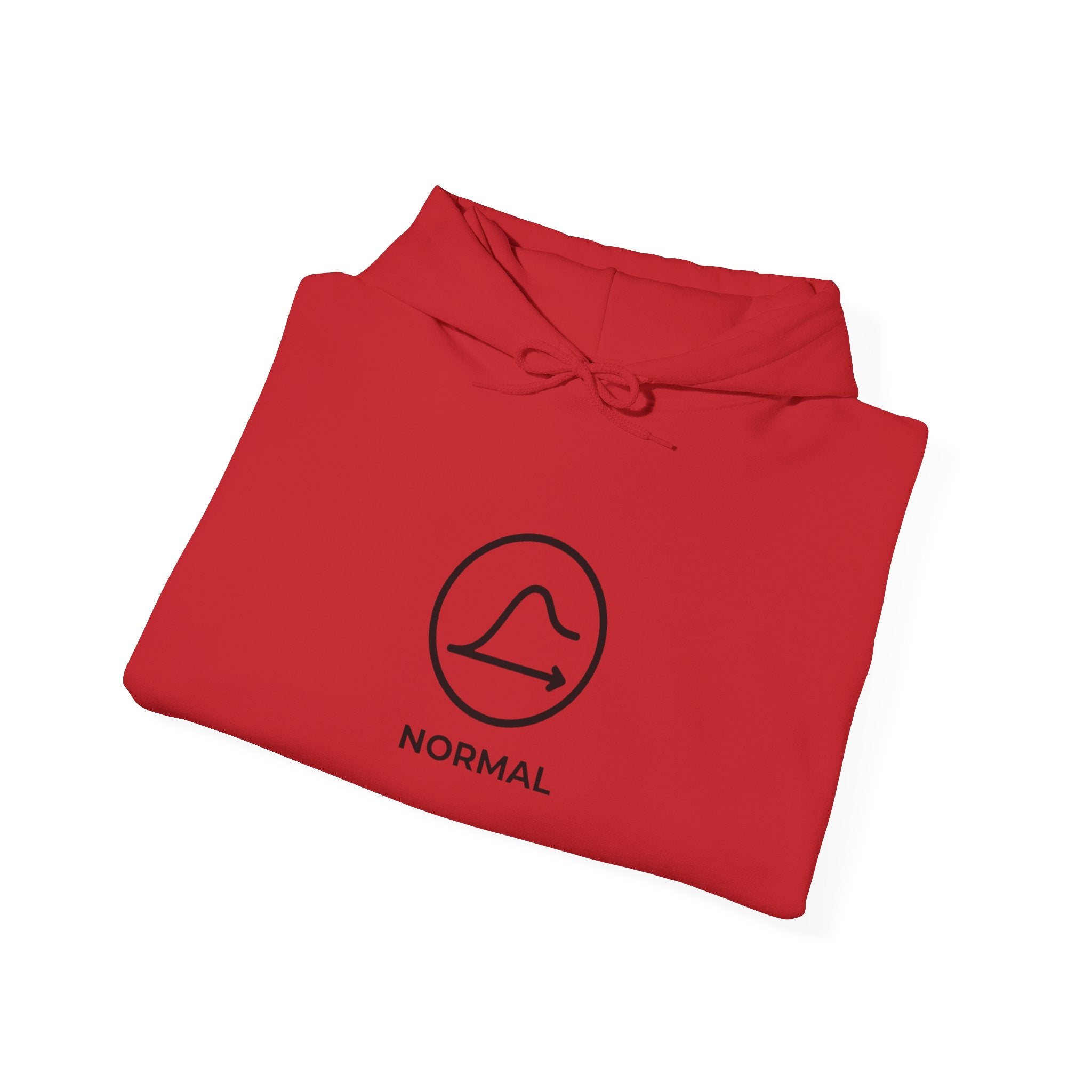 Nobody's Normal Hoodie — Understated Hoodie