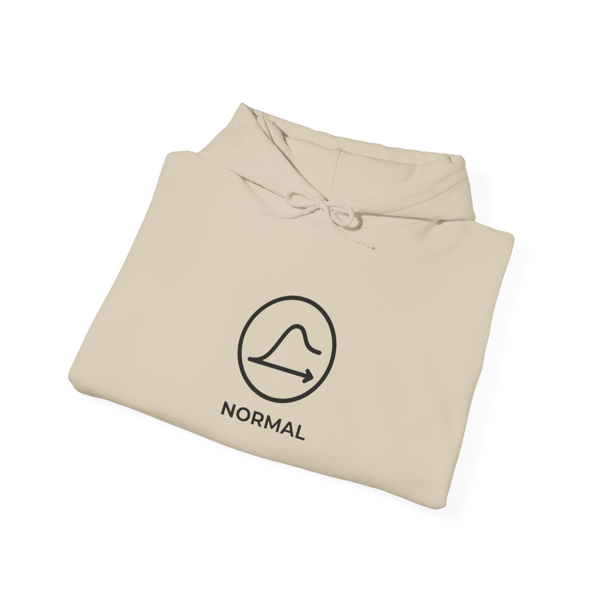 Nobody's Normal Hoodie — Understated Hoodie