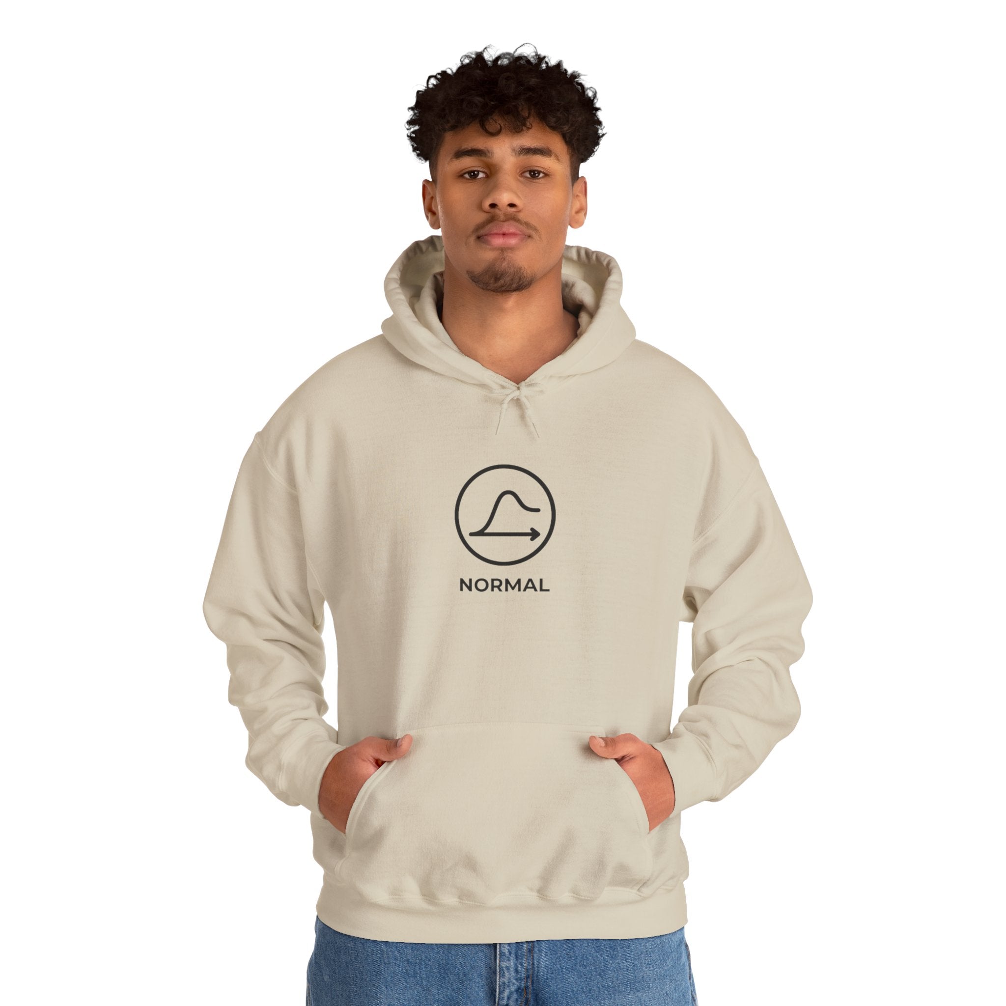 Nobody's Normal Hoodie — Understated Hoodie