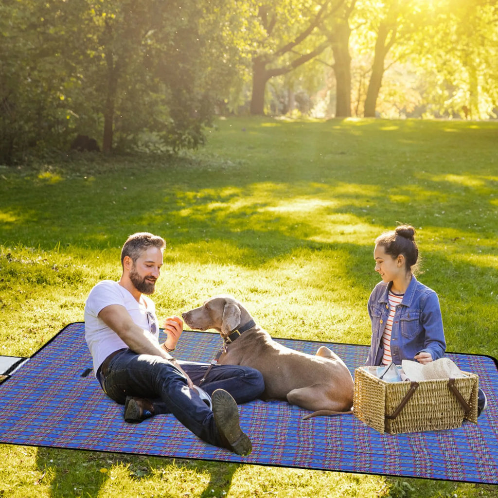 60" x 78" Waterproof Picnic Blanket Handy Mat