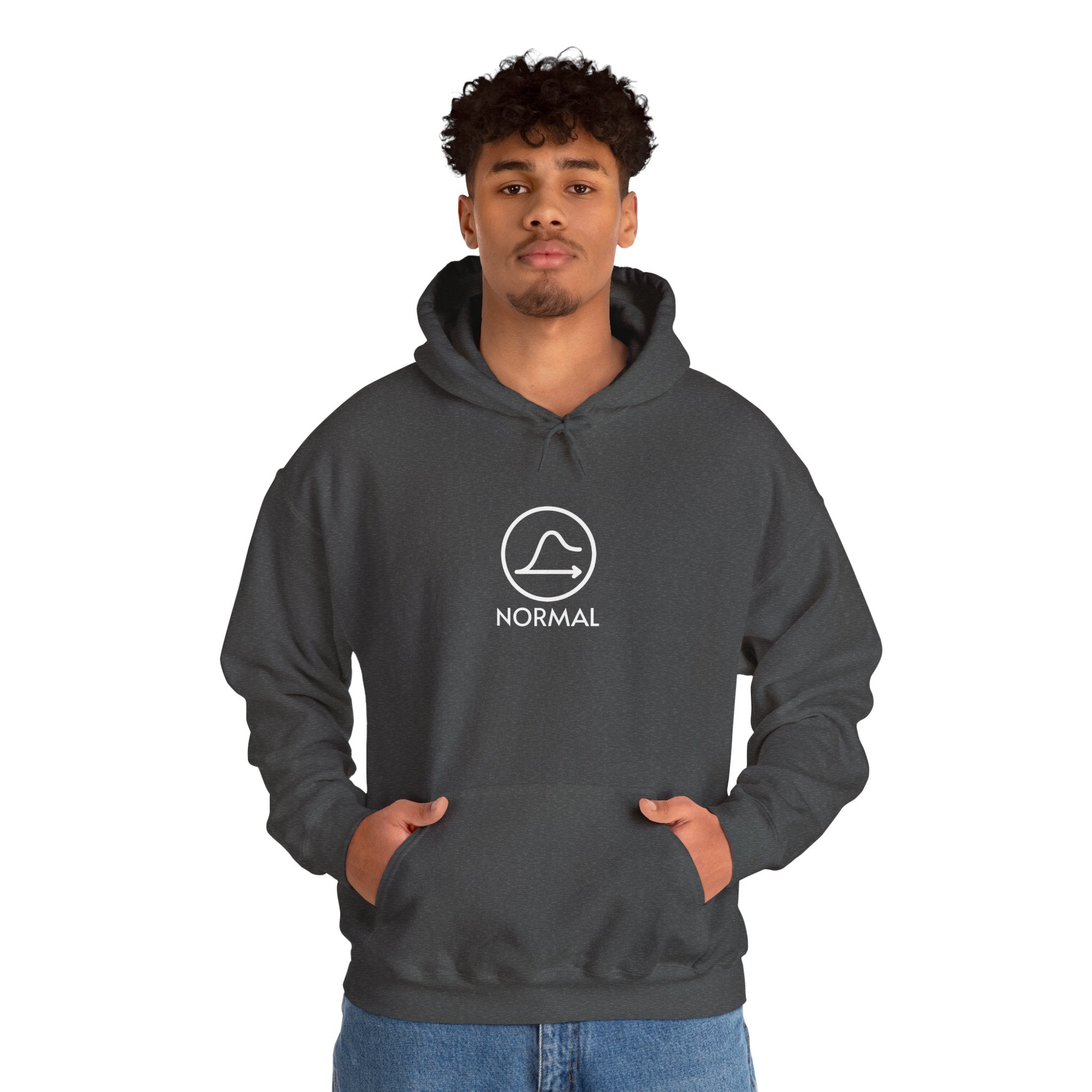 Nobody's Normal Hoodie — Understated Hoodie